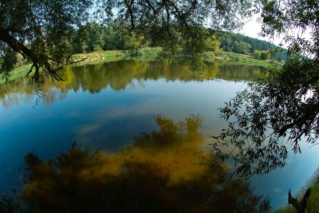 Resort Lesny Osrodek Szkoleniowy W Puszczykowie